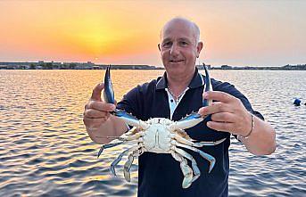 Kastamonulu balıkçının ağına “mavi yengeç“ takıldı