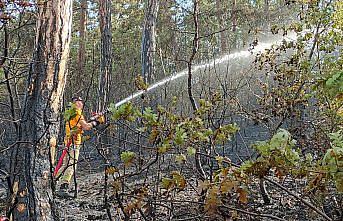 Samsun'da çıkan örtü yangını söndürüldü