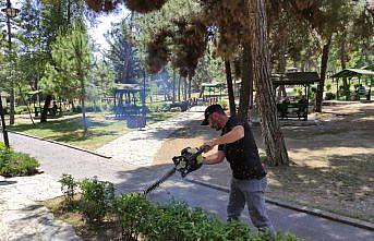 Vezirköprü Belediyesi park ve bahçelerde budama çalışması yapıyor