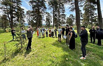 Yabancı öğrenciler, Bolu'daki ormancılık faaliyetlerini inceledi