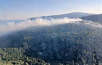 Karabük'te çıkan orman yangınına müdahale ediliyor