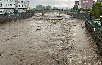 Samsun'da sağanak nedeniyle tarım arazileri su altında kaldı, iş yerlerini su bastı