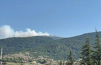 Karabük'te çıkan orman yangınına müdahale ediliyor