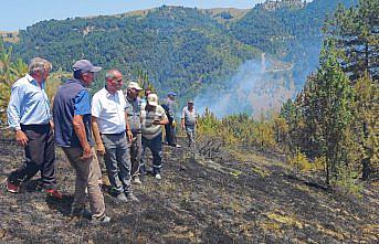 Yakakent'te ormanlık alanda çıkan yangın kontrol altına alındı