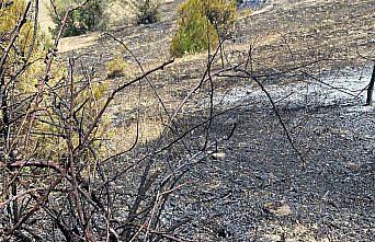 Alaçam'da ormanlık alandaki yangın söndürüldü