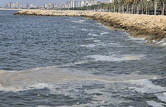 Mersin Körfezi'ndeki köpüklenme için “müsilajdan beter“ yorumu