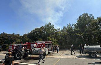 OMÜ kampüsündeki ormanlık alanda çıkan yangın kontrol altına alındı