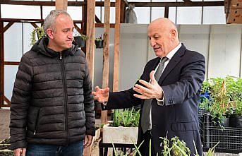 Terme Belediyesi, binlerce çiçek fidesi üreterek kenti süslüyor