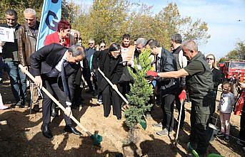 “81 İlde 81 Orman Projesi“ kapsamında fidan dikimi Samsun'da başladı