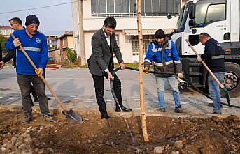 Erbaa Belediyesince 350 adet huş ağacı fidanı dikildi