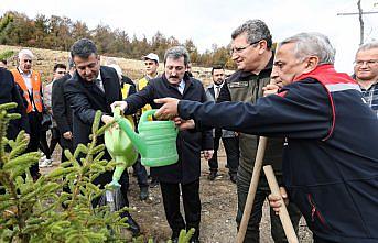 Samsun ve çevre illerde Milli Ağaçlandırma Günü'nde fidanlar toprakla buluştu
