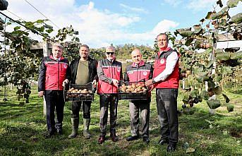 Tescilli Ordu kivisinin hasadına başlandı