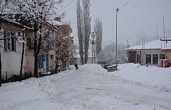 Başçiftlik'te kar yağışı etkili oldu