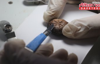 Hadrianopolis Antik Kenti'nde askeri strateji oyununa ait taşlar bulundu