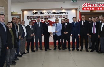 Sinop'ta 80 bin yabani zeytin ağacı aşılanarak ekonomiye kazandırılacak