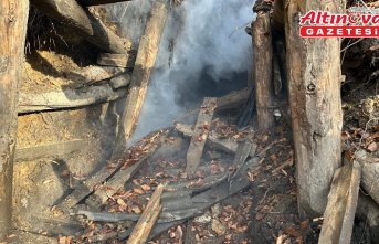 Zonguldak'ta 6 ruhsatsız maden ocağı kapatıldı