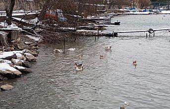 Cide'de kar yağışı etkili oluyor