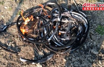 Dikmen'de kablo hırsızlığı iddiasıyla bir kişi yakalandı