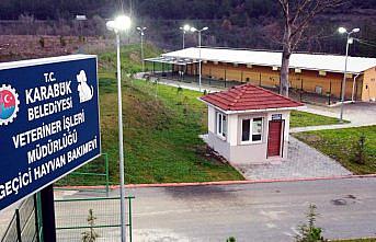 Karabük'te 1000 hayvan kapasiteli barınağın inşası sürüyor