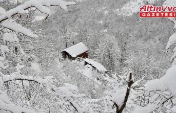 Samsun'un yüksek kesimleri kar yağışının ardından beyaza büründü