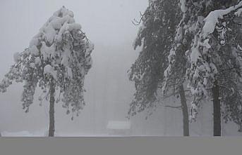 Samsun'da 1224 rakımlı Nebiyan Dağı karla kaplandı