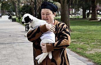 Annesinin besleyemediği kuzu “Pamuk“ evde bakımla hayata tutundu