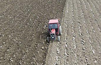 Bafra Ovası'nda yazlık ürün ekimi için çalışmalar başladı