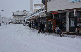 Başçiftlik ilçesinde kar yağışı etkili oldu