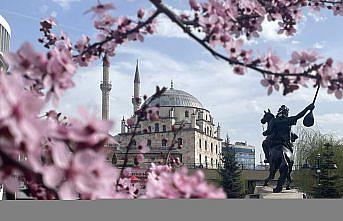 Bolu kent merkezinde meyve ağaçları çiçek açtı