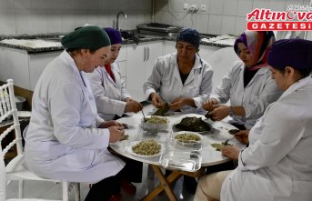 Ordu mutfağının tescilli tatlı ve yiyecekleri bayram sofralarını renklendirecek