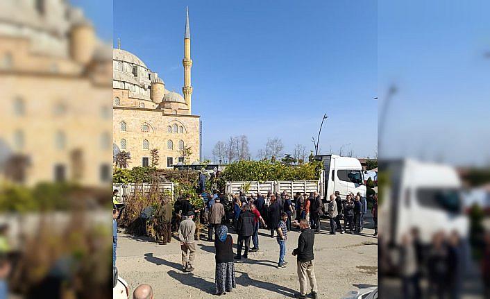 Piraziz ve Bulancak'ta vatandaşlara 24 bin meyve fidanı dağıtıldı
