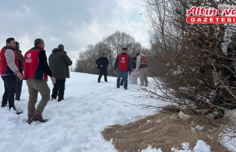 Samsun'da yaban hayatı için doğaya yem bırakıldı