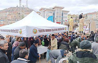 Tosya'da 15 bin adet fidan dağıtıldı.