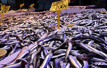 Trabzon'da ramazanda balığa talep arttı