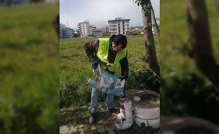 19 Mayıs Belediyesi’nden sahipsiz hayvanlara mama desteği