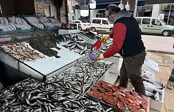 Balıkçı kenti Sinop'ta av sezonu bereketli kapanıyor