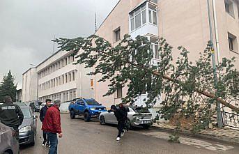 Gümüşhane'de fırtına etkili oluyor