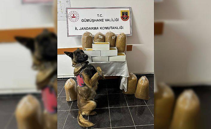 Gümüşhane'de gümrük kaçağı tütün ele geçirildi