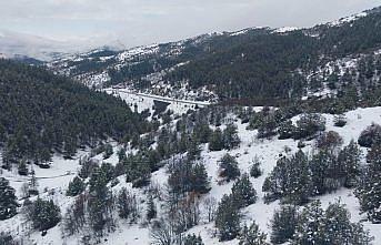 Gümüşhane'de nisanda kar etkili oldu