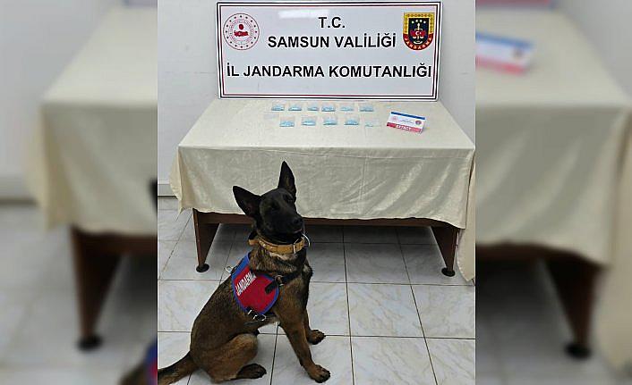 Kanepeye gizlenen uyuşturucu “Benek“in hassas burnundan kaçmadı