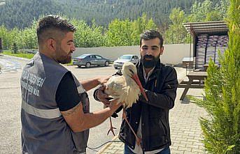 Karabük'te bitkin halde bulunan leylek tedavi altına alındı