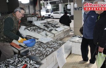 Sinopluların bu ramazan balık tercihi mezgit oldu