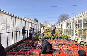 TOGÜ Rektörü Yılmaz, kampüsteki seraları gezdi