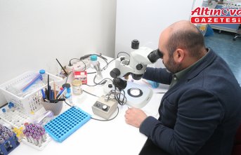 Tokat Gaziosmanpaşa Üniversitesinin laboratuvarında 30 bini aşkın kene bilimsel çalışmalar için saklanıyor