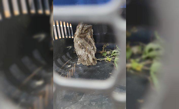 Tokat'ta aspiratöre sıkışan baykuş yavrusu itfaiye ekiplerince kurtarıldı