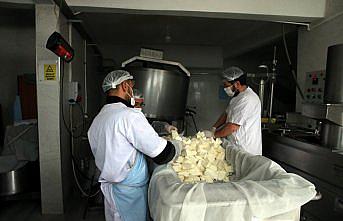 Tokat'ta beldeye kurulan süt işleme tesisi çiftçiye pazar oldu