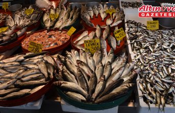 Trabzon'da tezgahlarda oltayla avlanan balıklar yer aldı