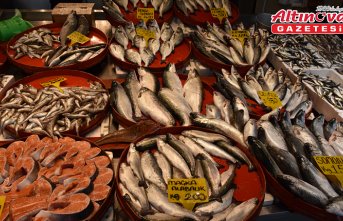 Trabzon'da tezgahları istavrit ve mezgit süslüyor