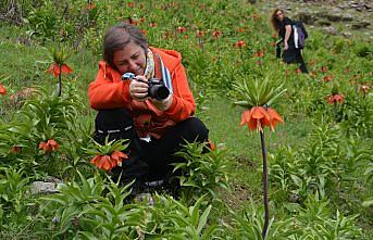 Trabzon'dan Muş'a gelen fotoğraf tutkunları ters laleleri görüntüledi