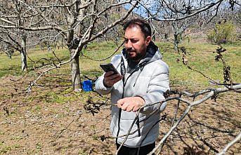 Zirai dondan etkilenen Oğuzlar'da TARSİM'in hasar tespit çalışması başladı